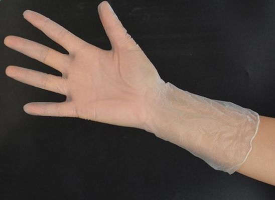 قفازات خالية من مسحوق الفينيل الصناعي القابل للتصرف كبيرة 240 مللي متر قفازات فينيل آمنة للطعام